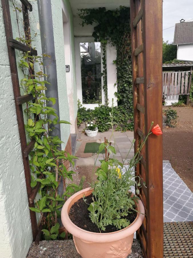Appartement Eifel Im Haus Sybille Kelberg Exterior foto